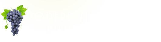 Farmhouse accommodation in Tuscany